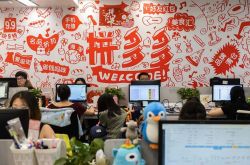 [详细教程]云南普洱有什么工厂_哔哩哔哩-2